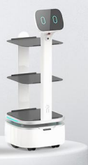 Robot de livrare a cinei